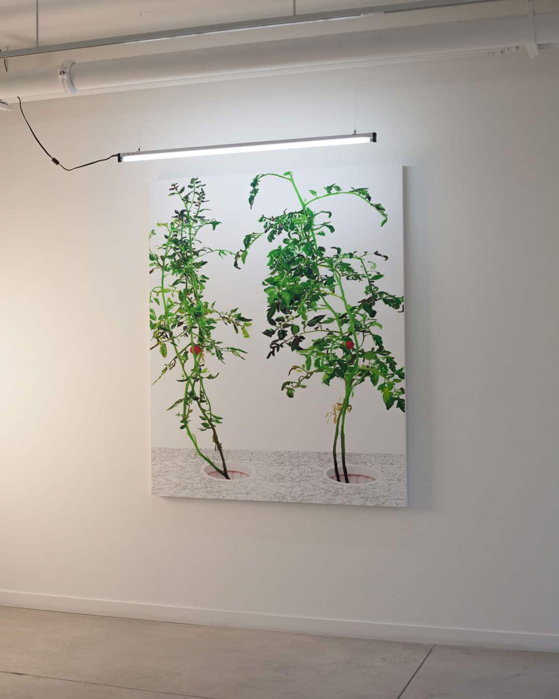 Alex Fischer, VII, 2015,  60×48in giclee on dibond